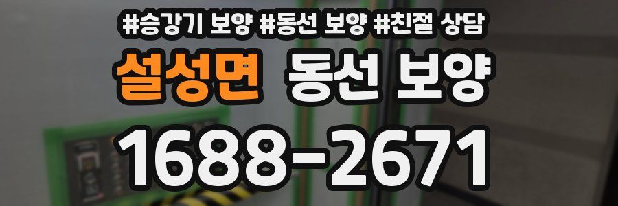 설성면 동선 보양