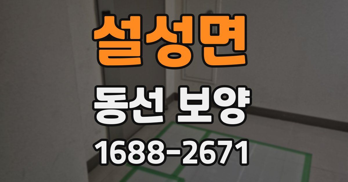 설성면 동선 보양
