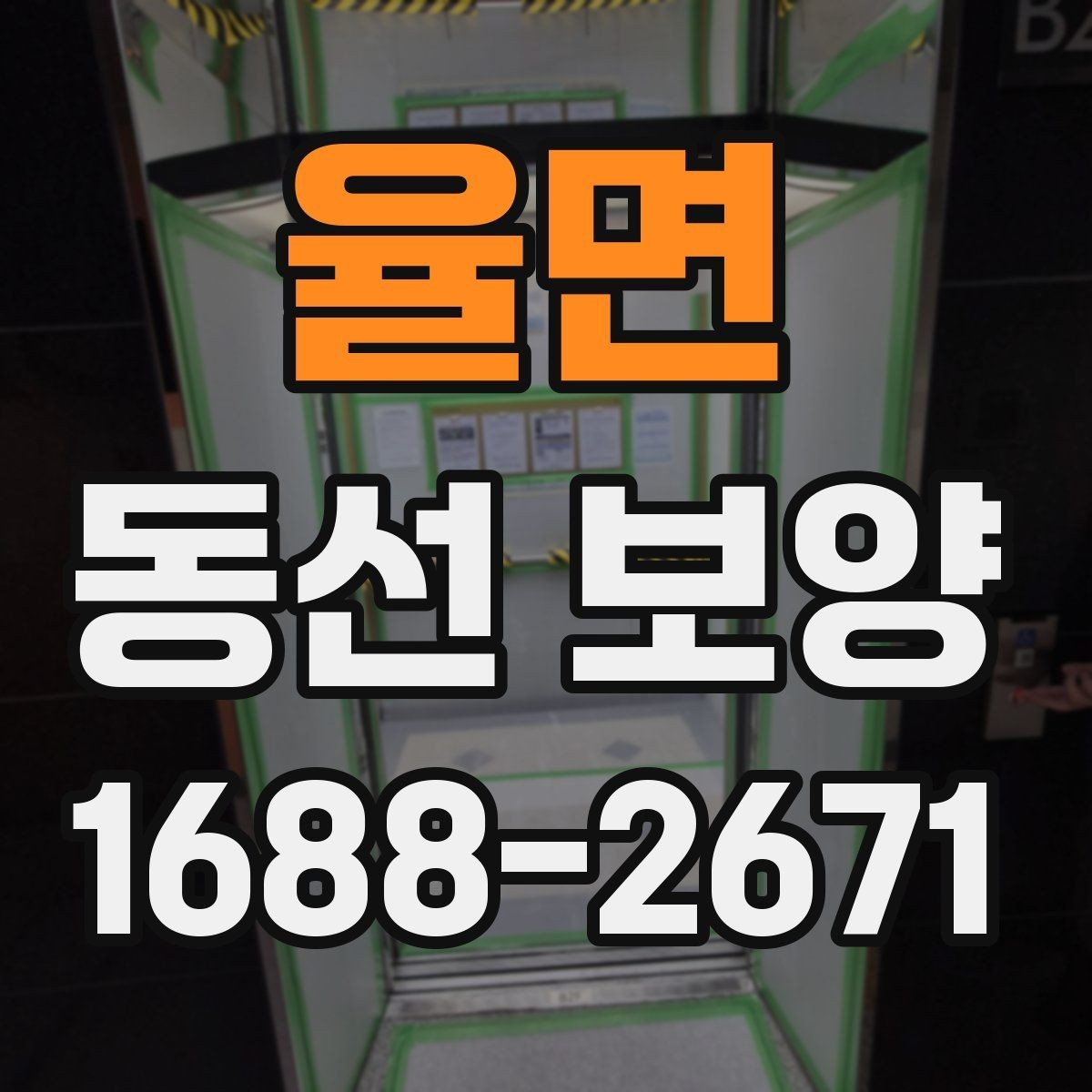 율면 동선 보양 현장별 적용 사례와 특징