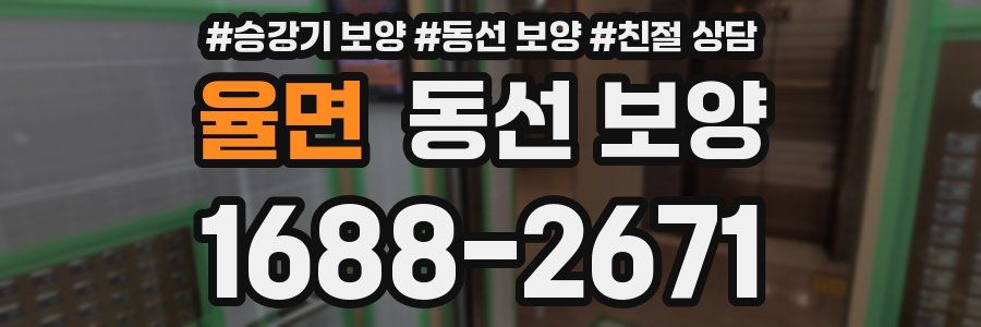 율면 동선 보양