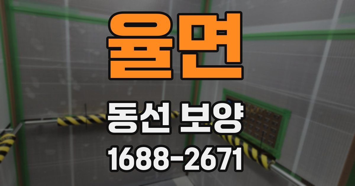 율면 동선 보양