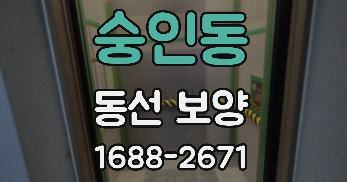 숭인동 동선 보양