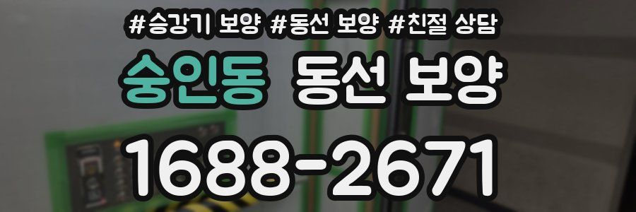숭인동 동선 보양