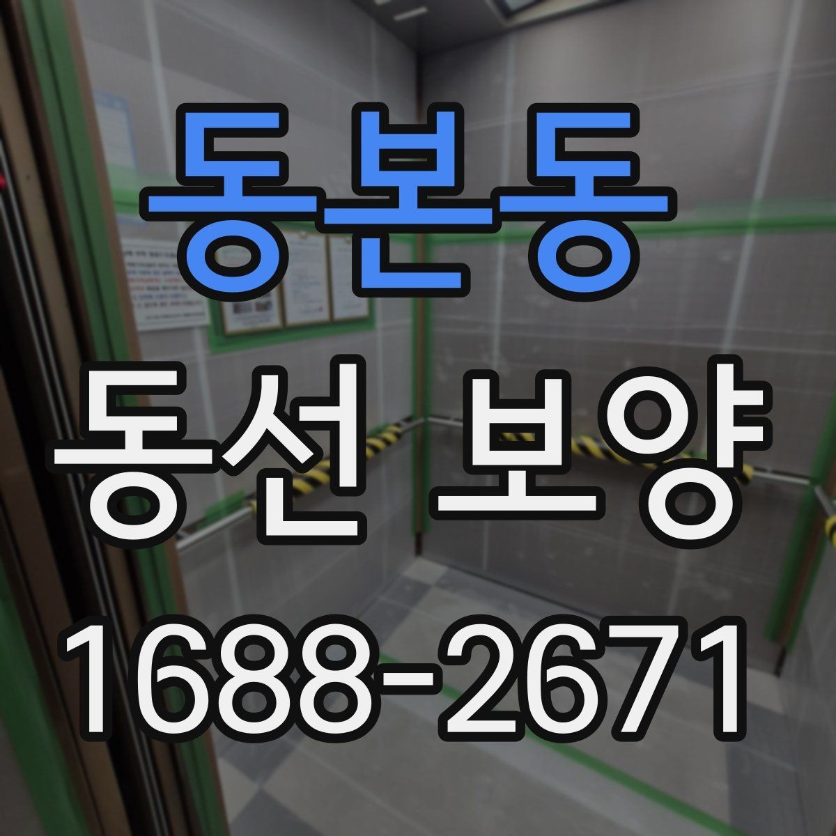 동본동 동선 보양 대상 구간을 정하는 기준
