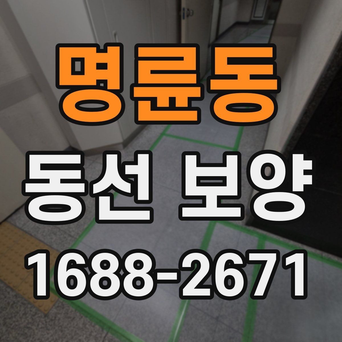 명륜동 동선 보양 시공 전 현장 상태 점검하기
