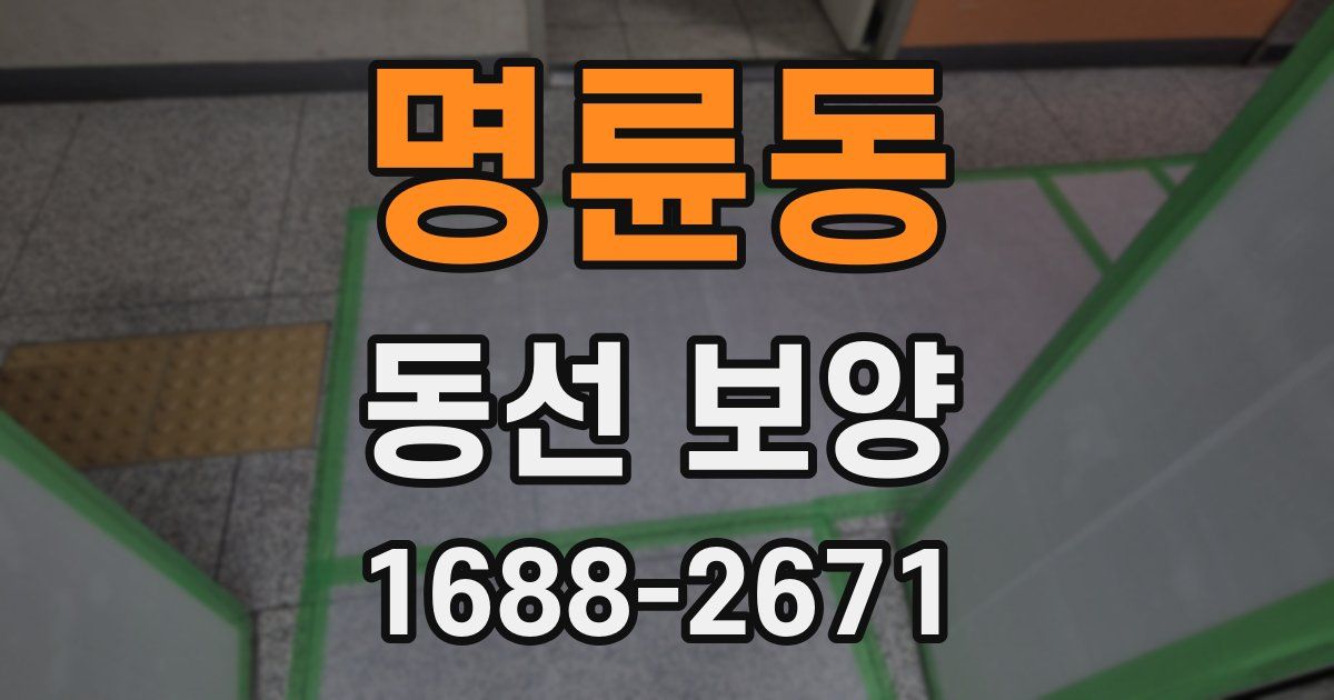 명륜동 동선 보양
