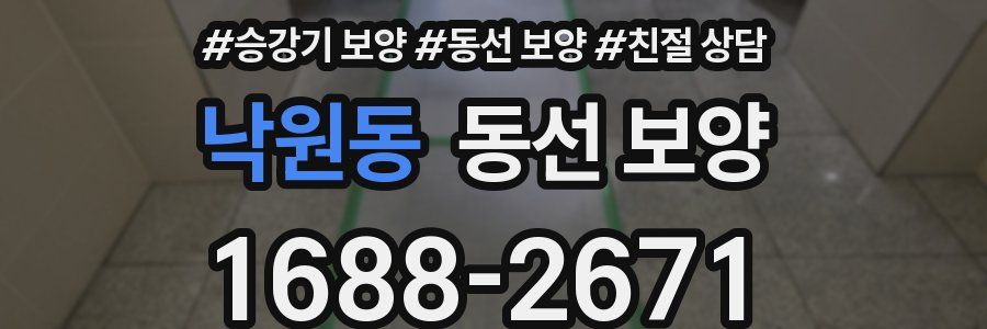 낙원동 동선 보양