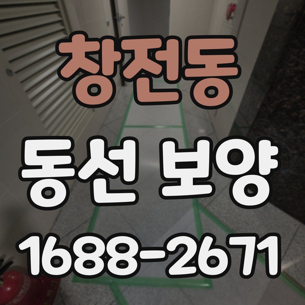 창전동 동선 보양 진행 과정에서 반복되는 실수
