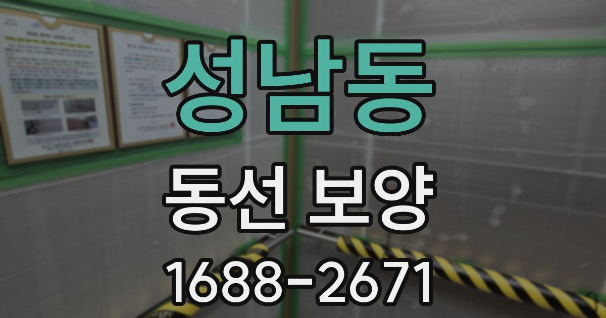 성남동 동선 보양
