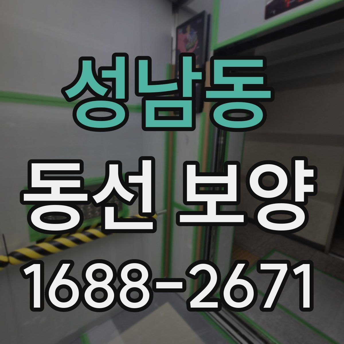 성남동 동선 보양