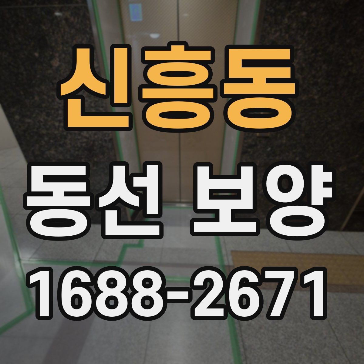 신흥동 동선 보양 후 정리까지 고려해야 하는 이유