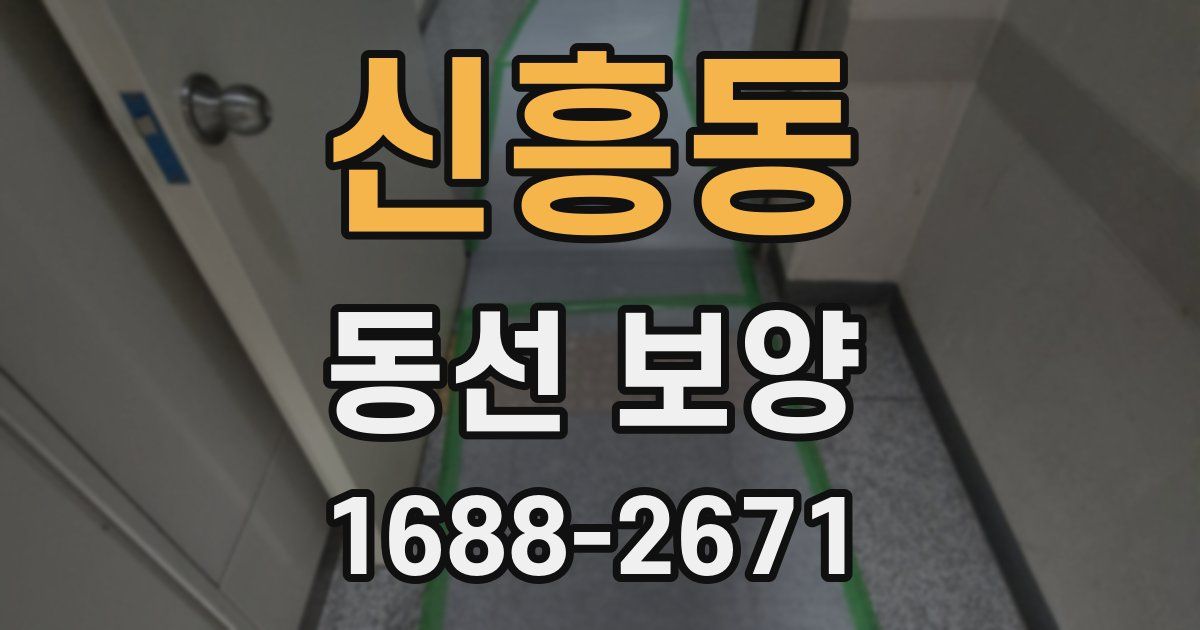 신흥동 동선 보양