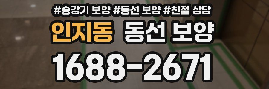 인지동 동선 보양