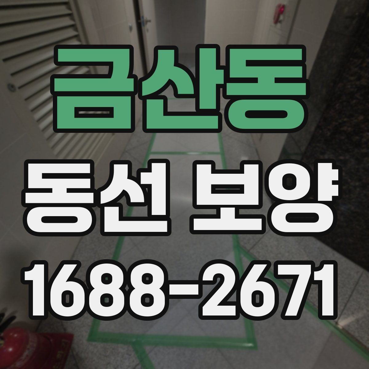 금산동 동선 보양 후 정리까지 고려해야 하는 이유