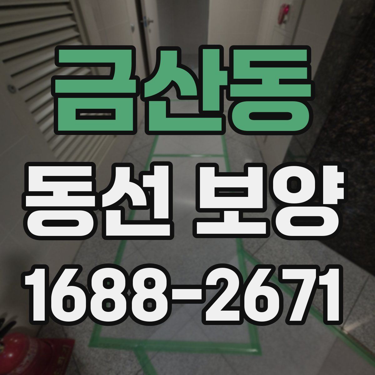 금산동 동선 보양