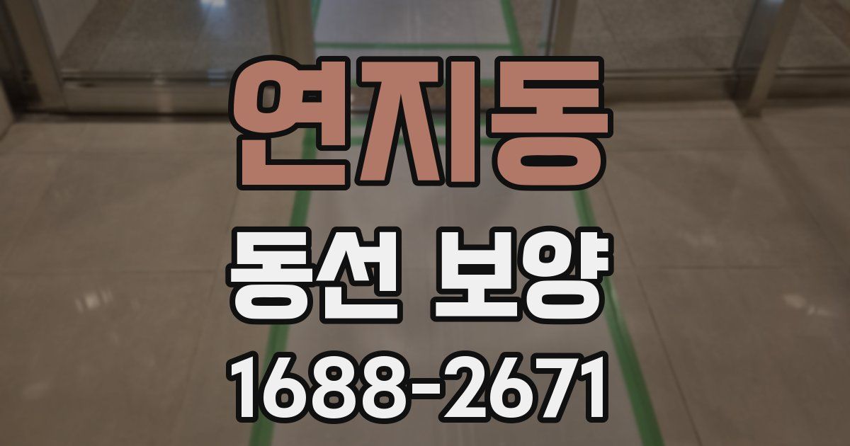 연지동 동선 보양