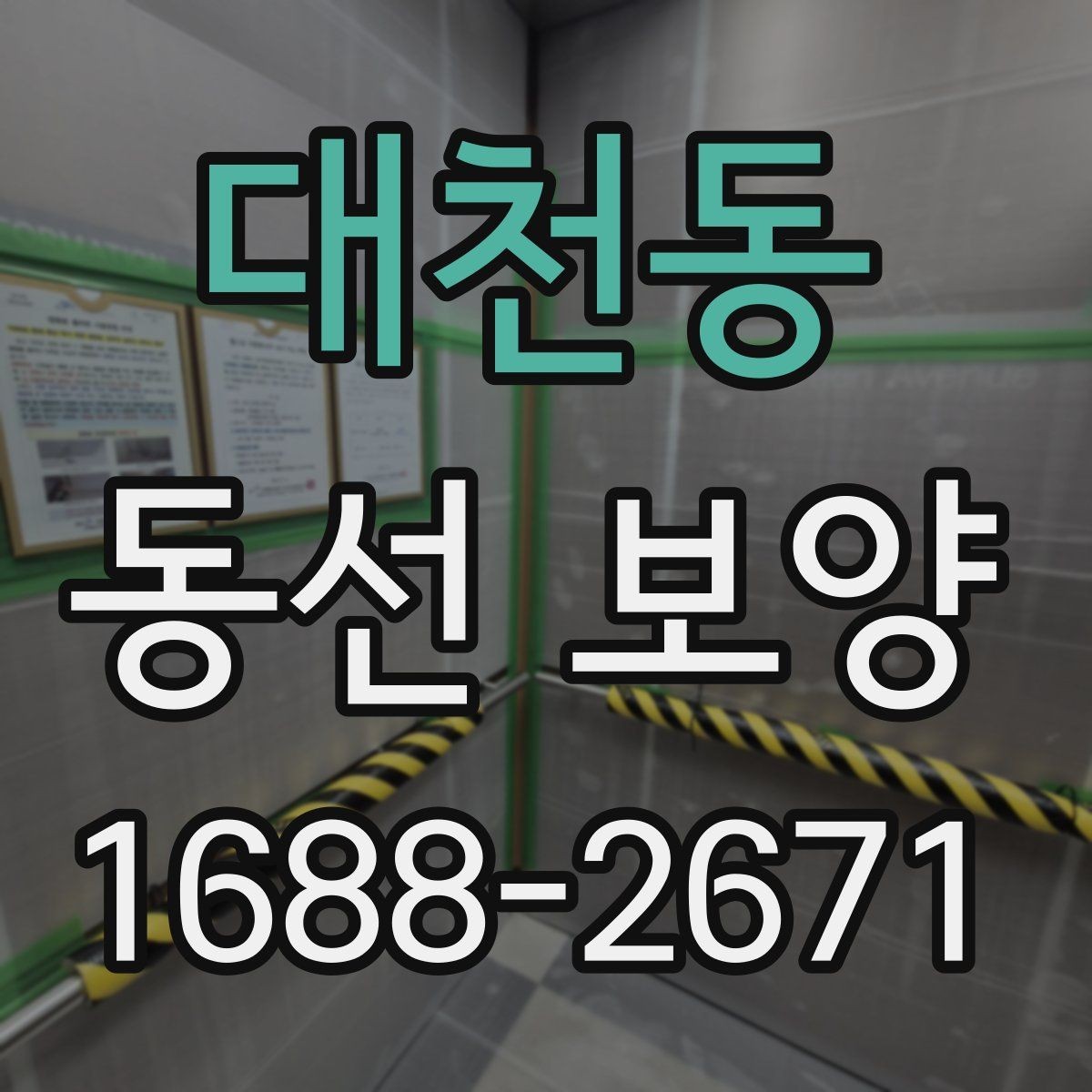 대천동 동선 보양 실수 줄이는 현장 관리법
