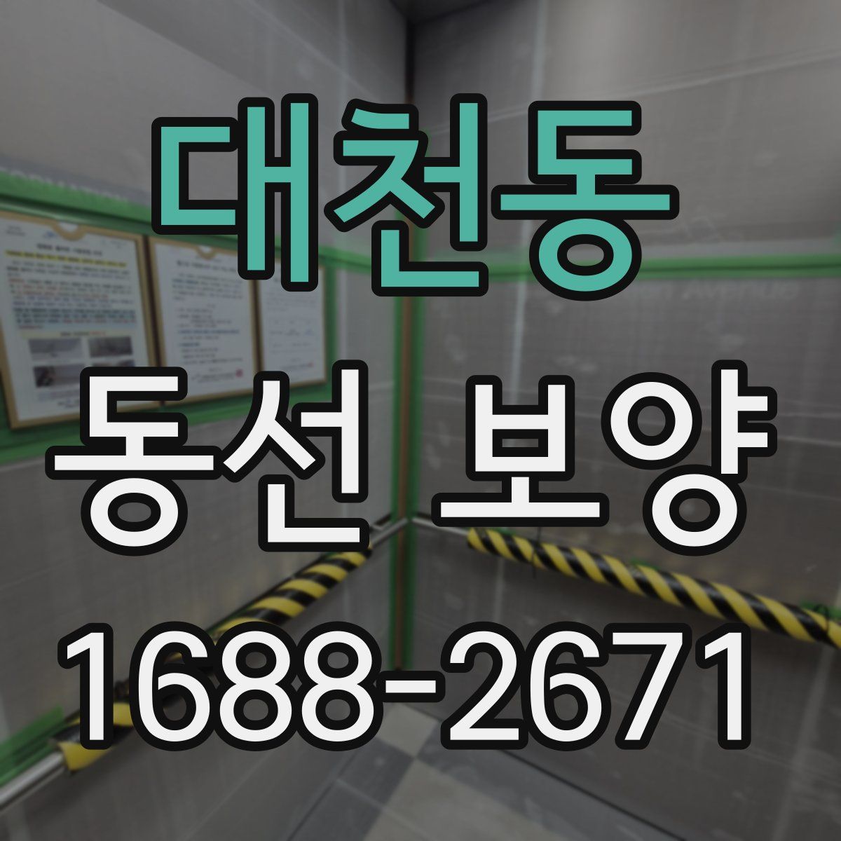 대천동 동선 보양