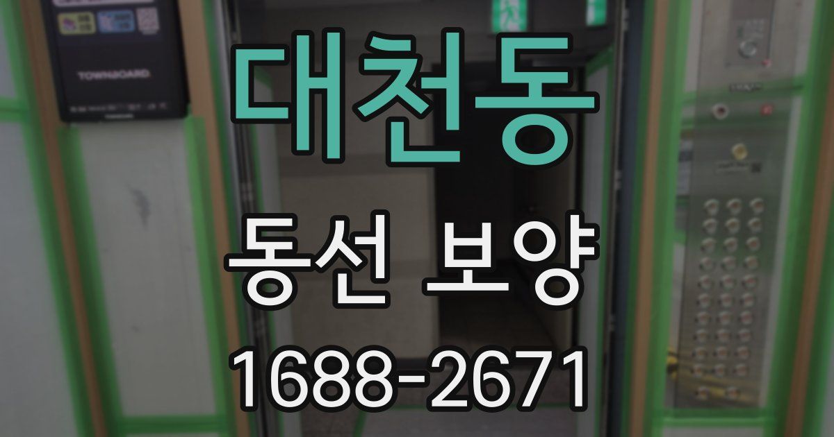 대천동 동선 보양