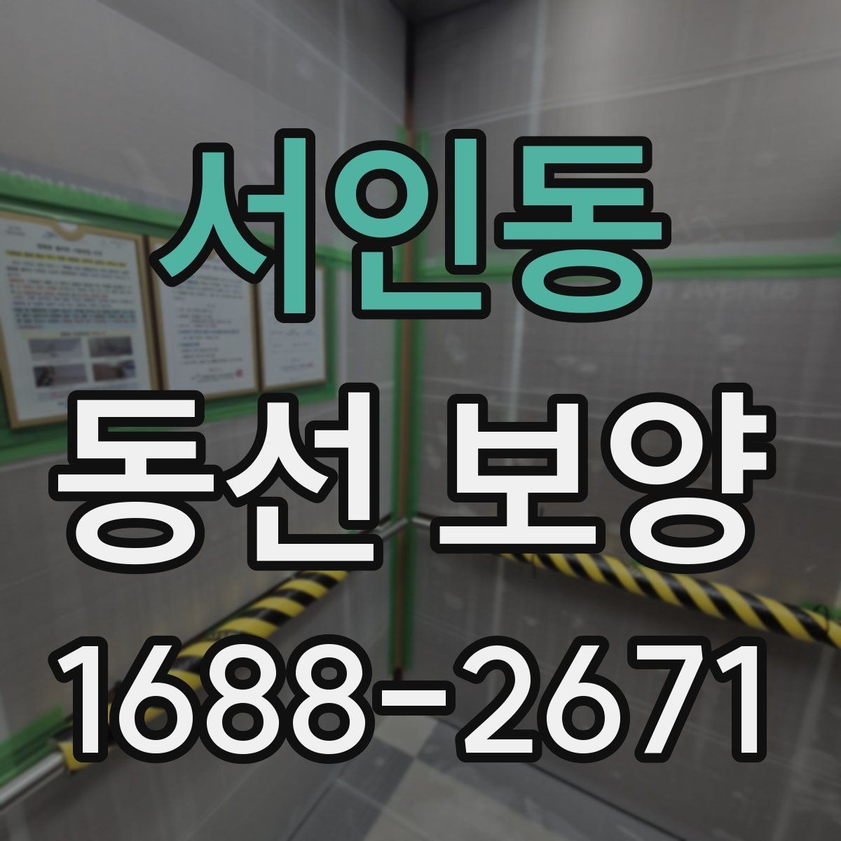 서인동 동선 보양 자재별 특징과 활용 방법