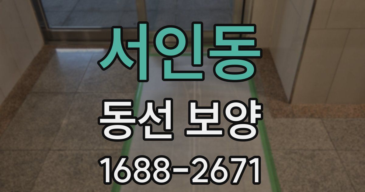 서인동 동선 보양