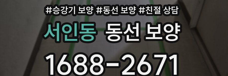 서인동 동선 보양