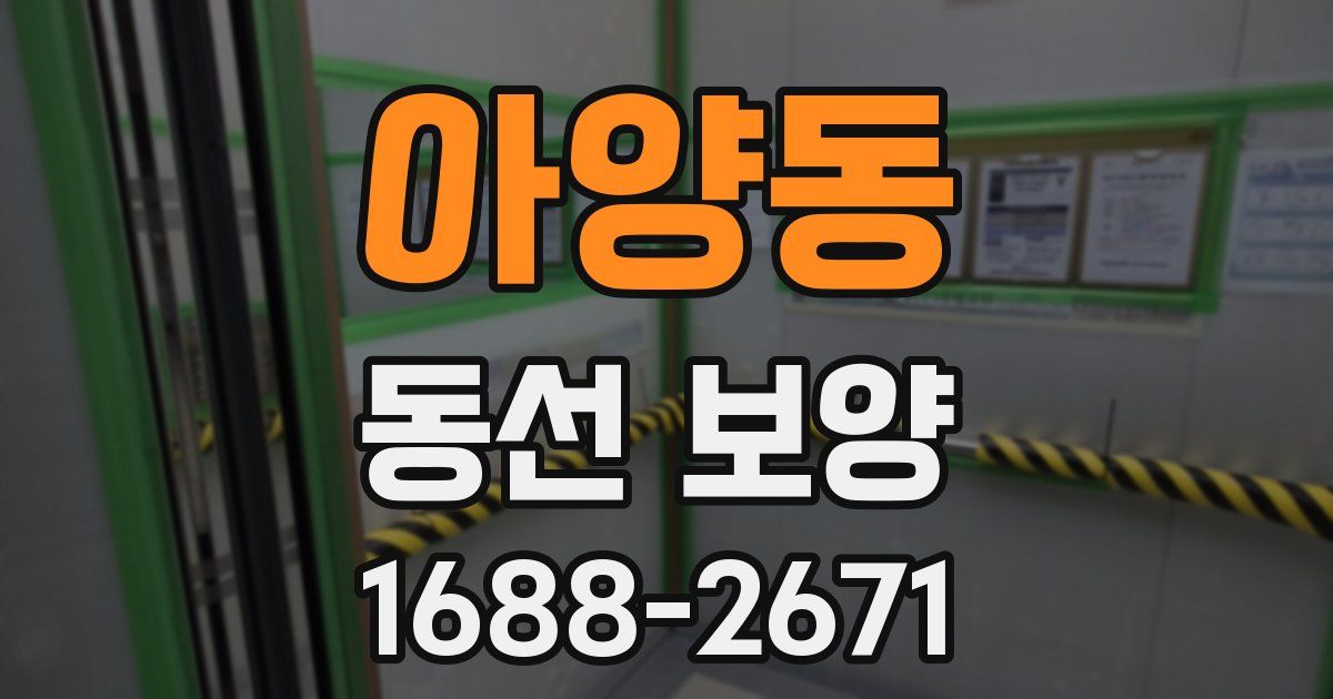 아양동 동선 보양