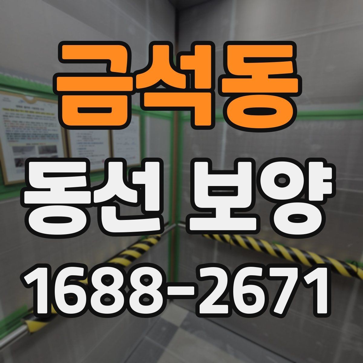 금석동 동선 보양 비용 계산 전에 확인할 부분