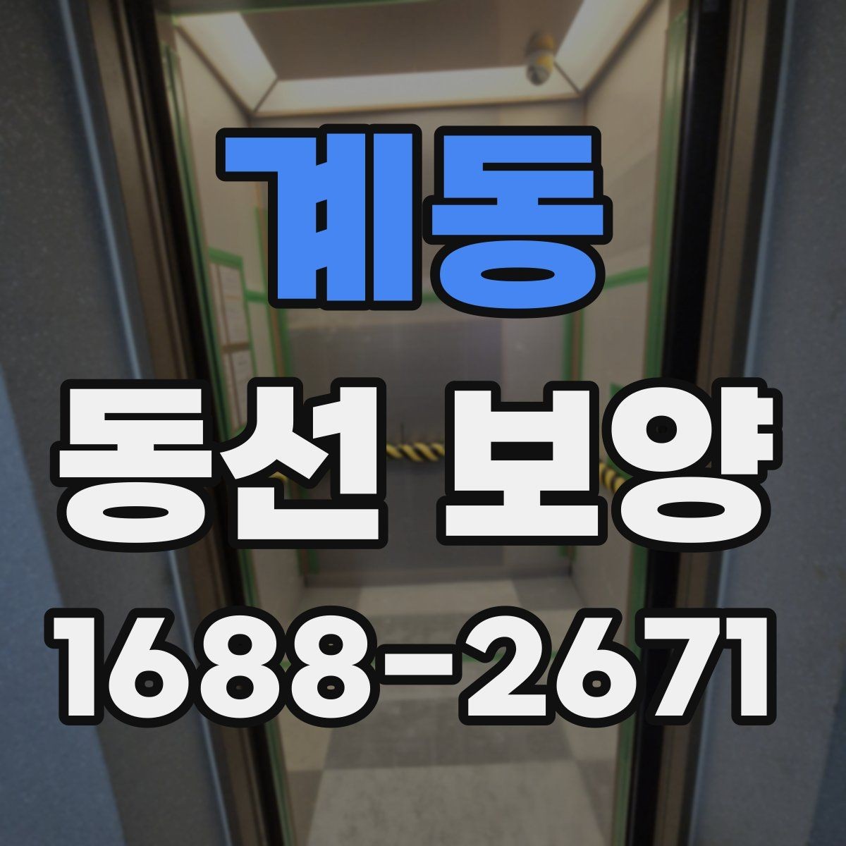계동 동선 보양 관련 문의 전 준비하면 좋은 정보