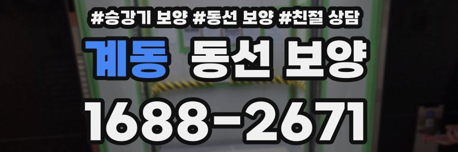 계동 동선 보양