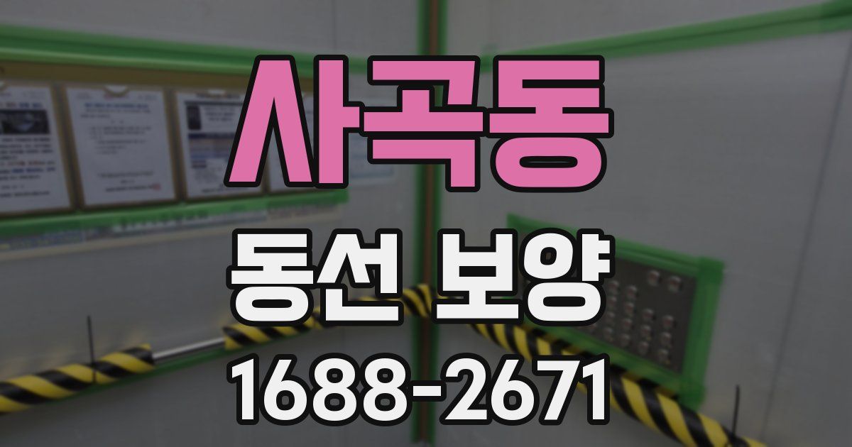 사곡동 동선 보양