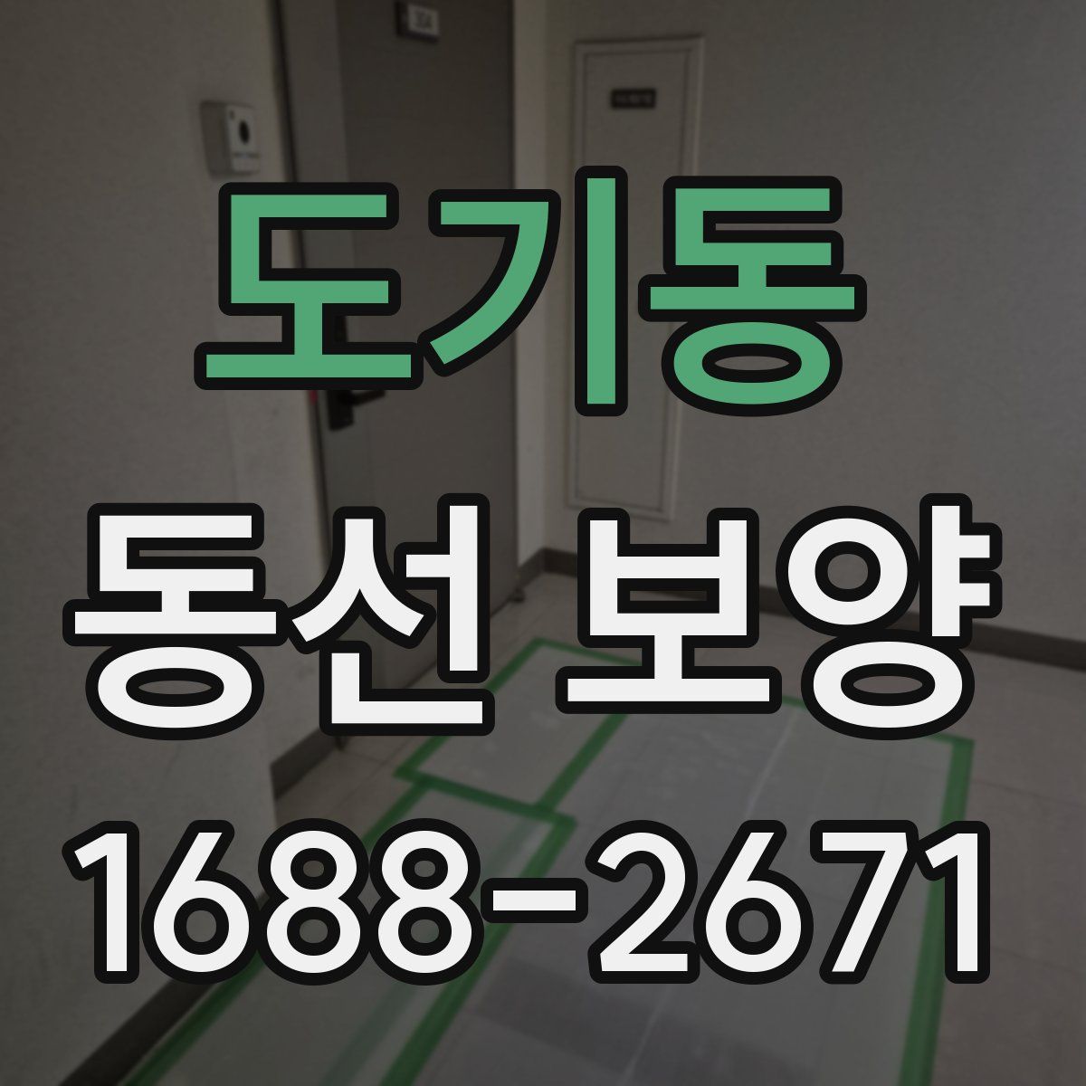 도기동 동선 보양