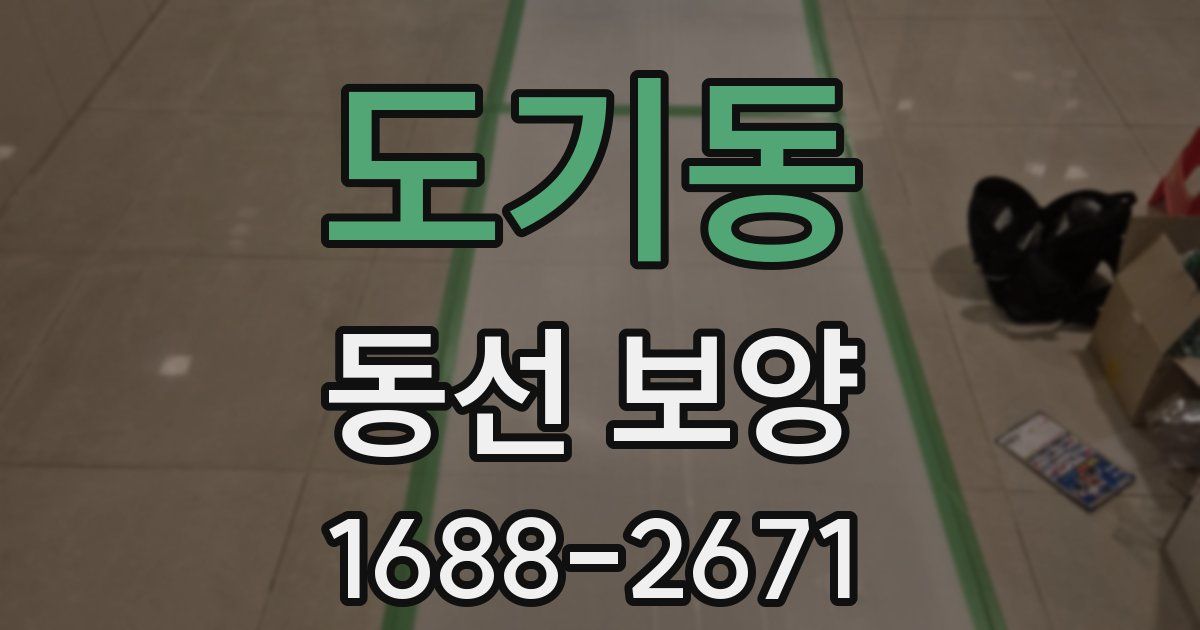 도기동 동선 보양