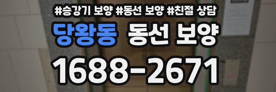 당왕동 동선 보양