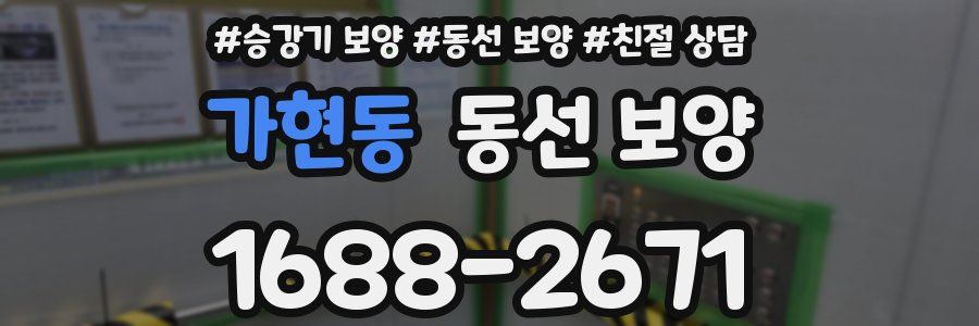 가현동 동선 보양