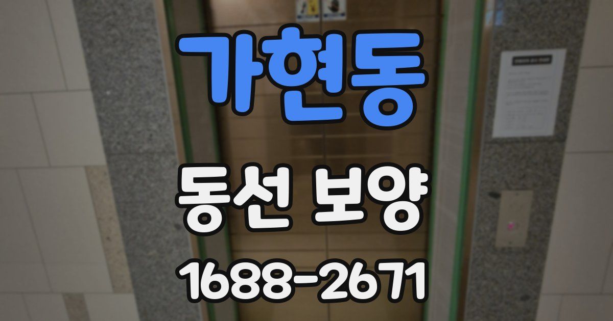 가현동 동선 보양