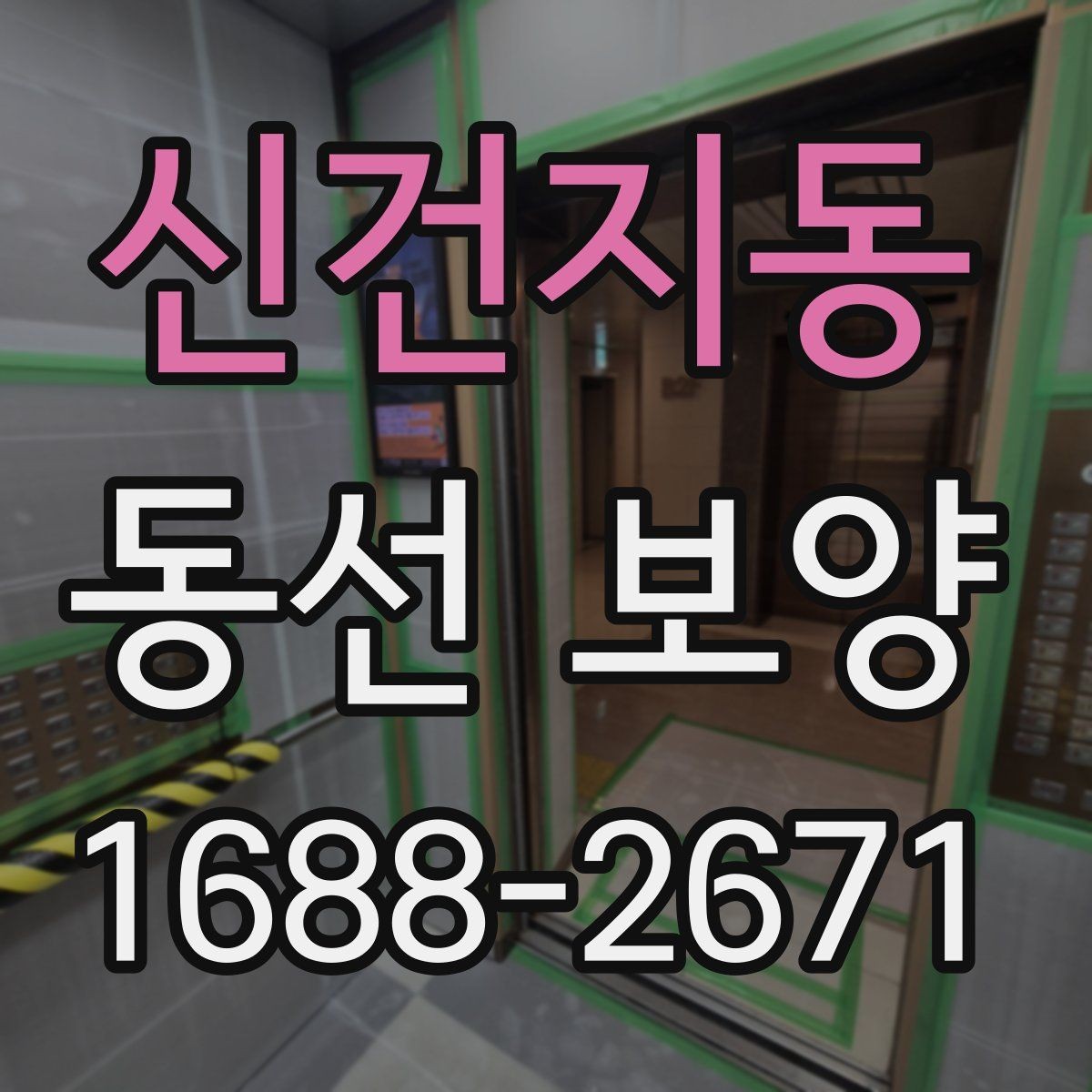 신건지동 동선 보양 작업 후 점검 순서와 확인 사항