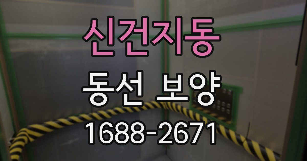 신건지동 동선 보양