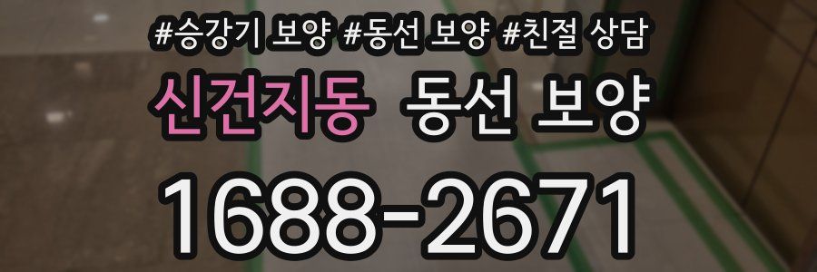 신건지동 동선 보양
