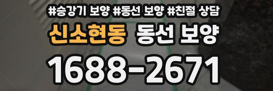 신소현동 동선 보양