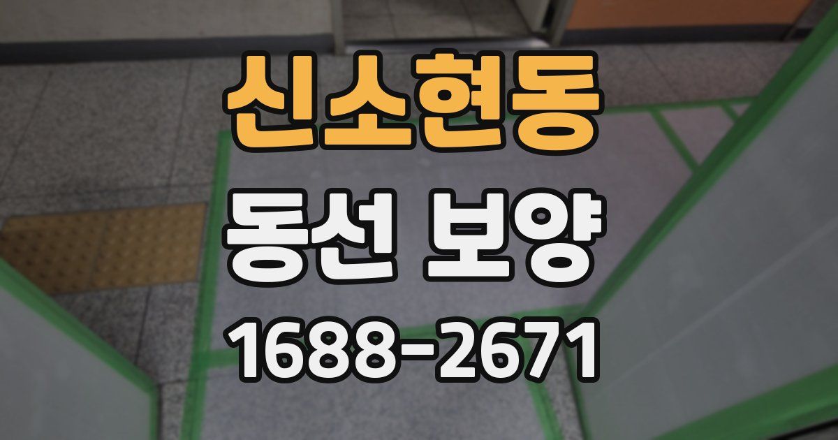신소현동 동선 보양
