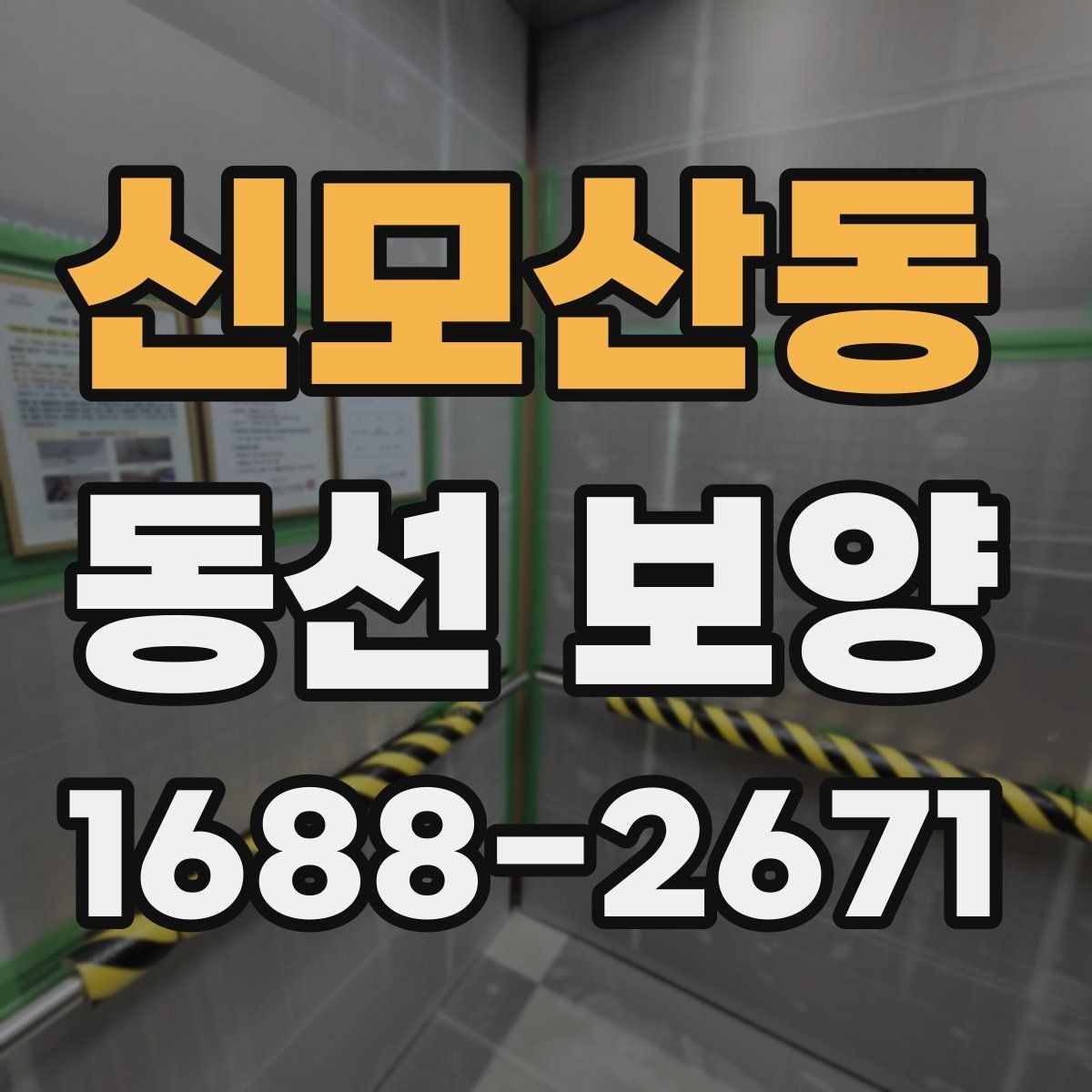 신모산동 동선 보양 공정에서 누락하기 쉬운 단계