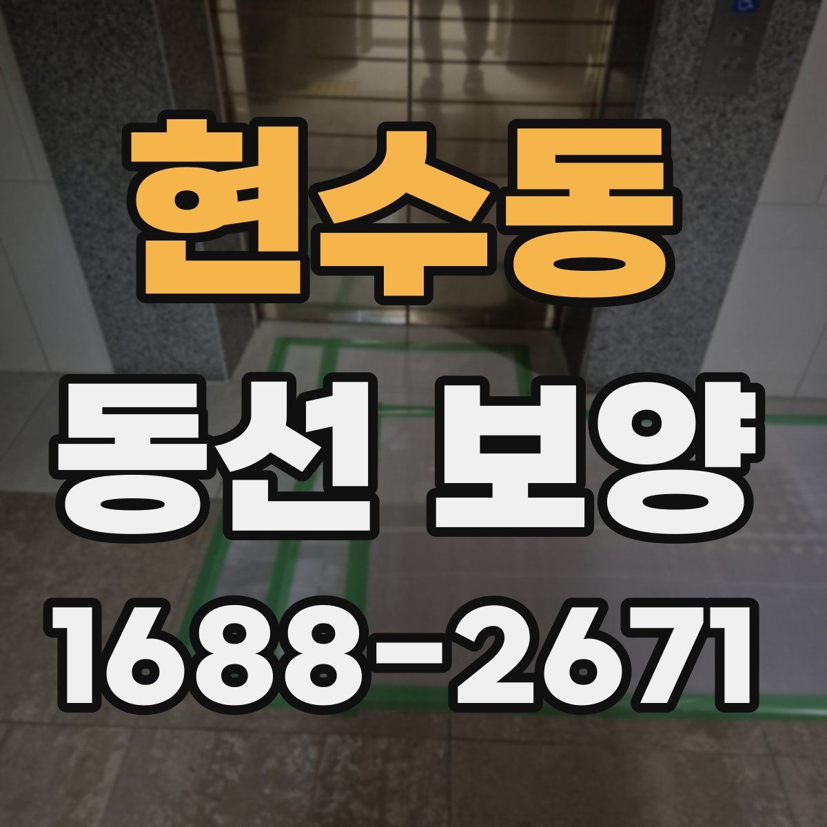 현수동 동선 보양