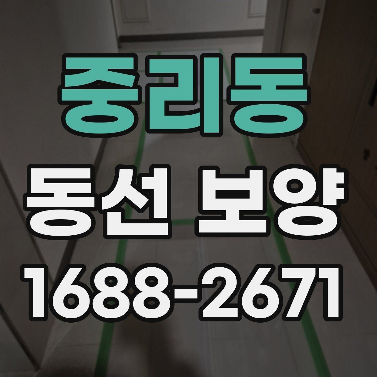 중리동 동선 보양 업체를 볼 때 확인할 기준