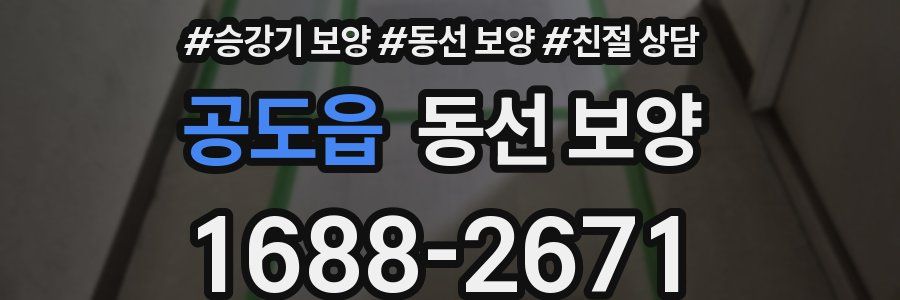 공도읍 동선 보양