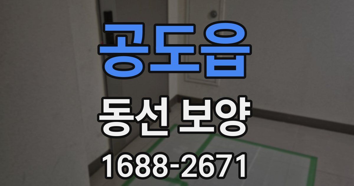 공도읍 동선 보양