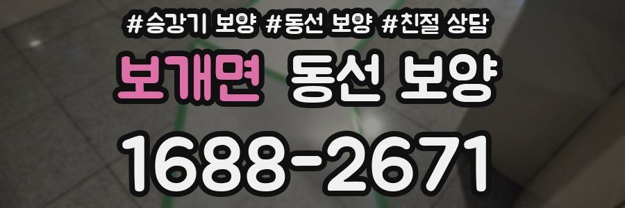 보개면 동선 보양