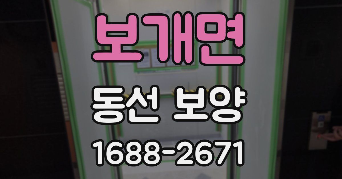 보개면 동선 보양