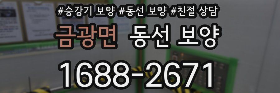 금광면 동선 보양