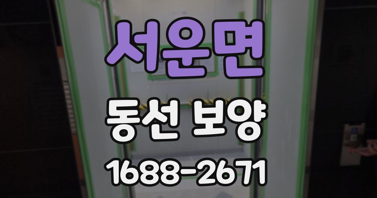 서운면 동선 보양